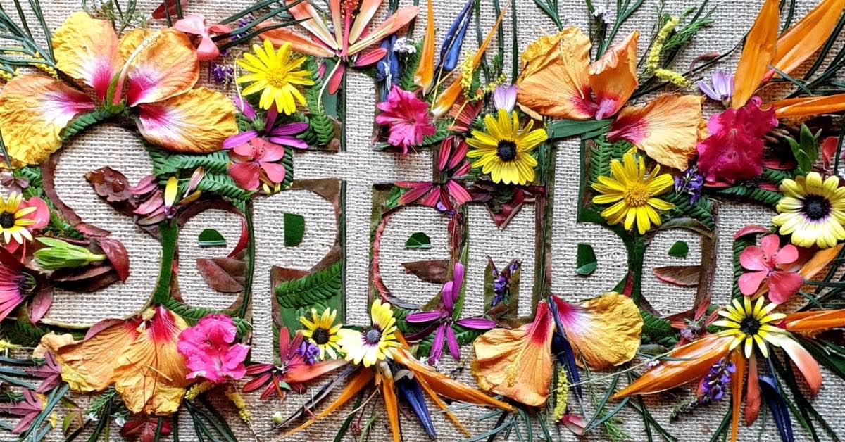 Pam Gregory Professional Astrologer From The UK And YouTube