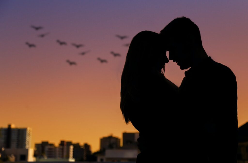 silhouette photo of couple during golden hour